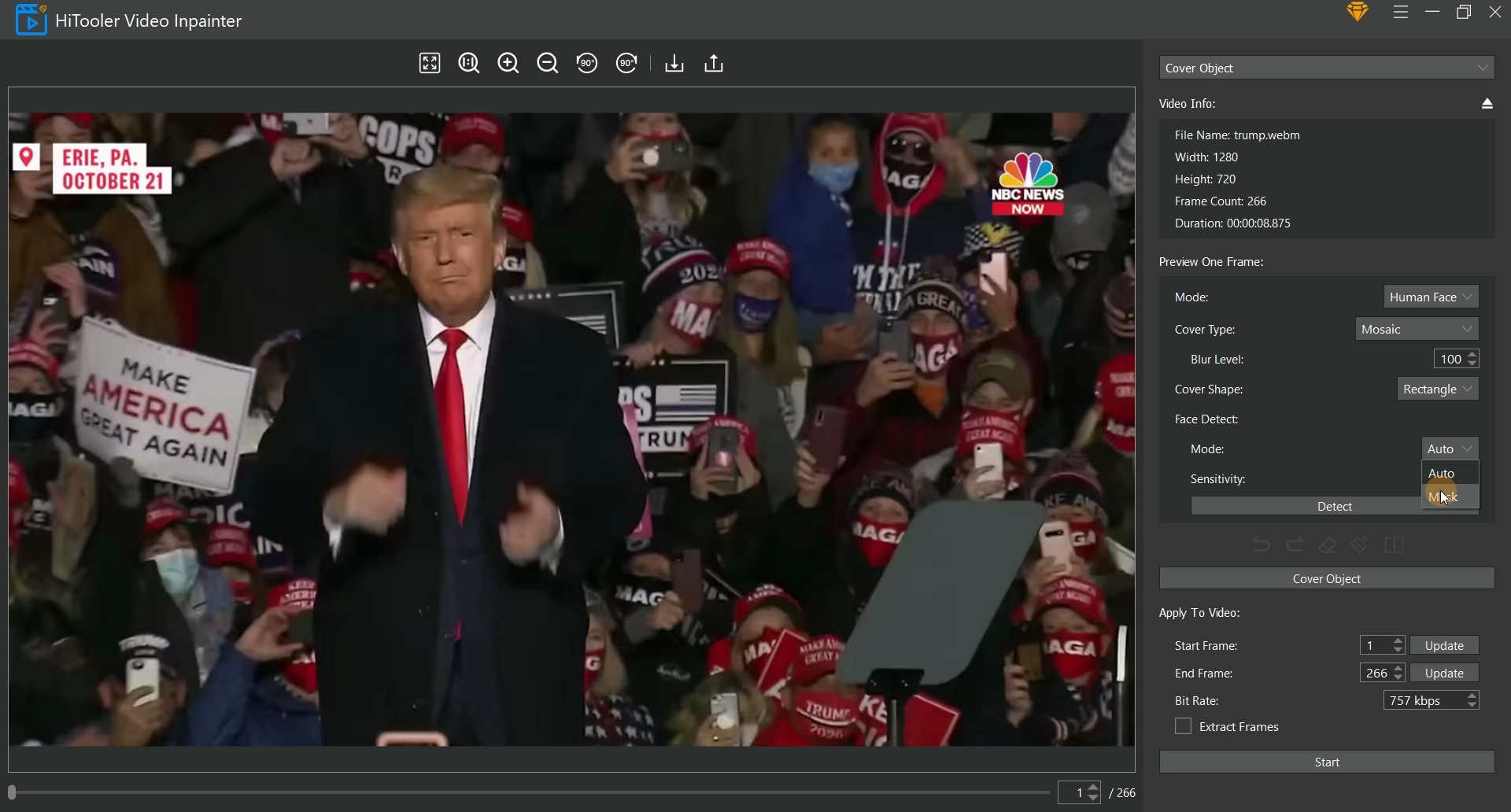 HiTooler Video Inpainter select face detect mode to mask