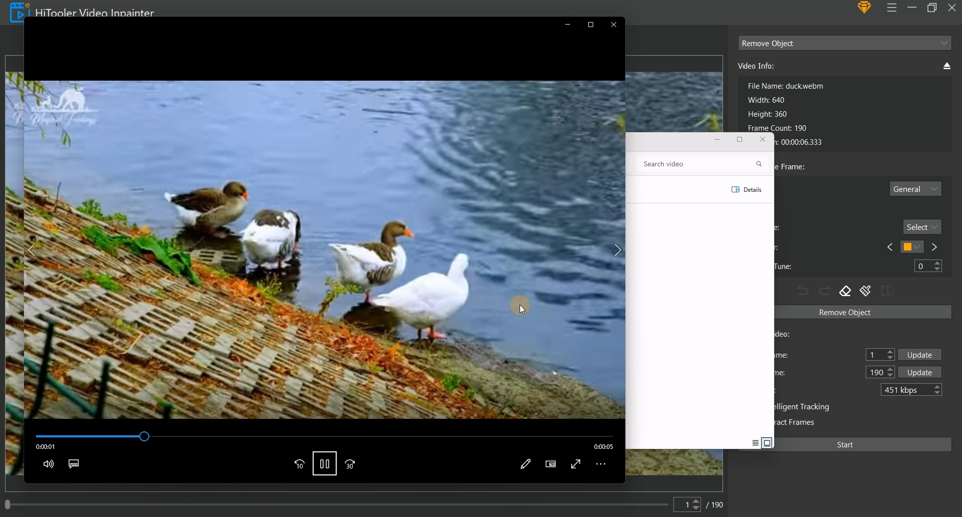 HiTooler Video Inpainter result